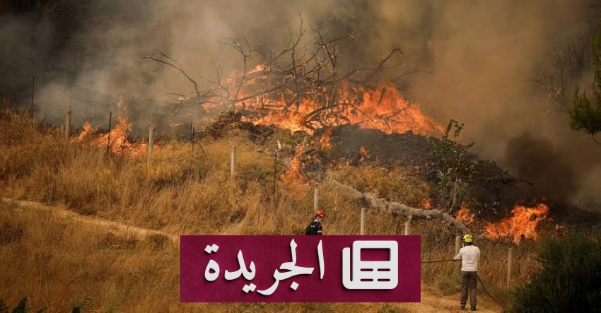 حرائق غابات تهدد مناطق جنوب أثينا وتثير مخاوف السلطات اليونانية - آخر الأخبار - الجريدة