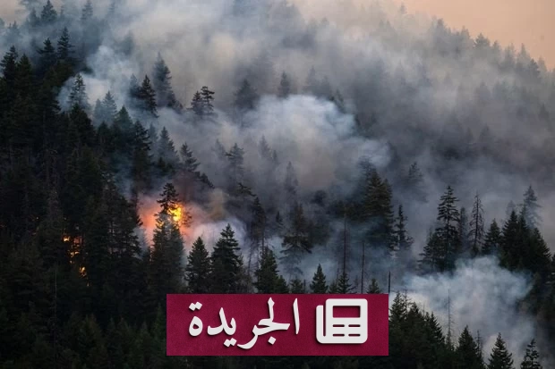 حرائق كندا تتوسع.. دراسة تحذر من دور التغير المناخي في تفاقمها - آخر الأخبار - الجريدة