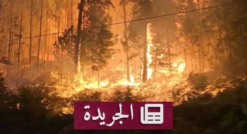 حرائق كندا تتوسع وتforced إجلاء 20 ألف شخص في كولومبيا البريطانية - آخر الأخبار - الجريدة