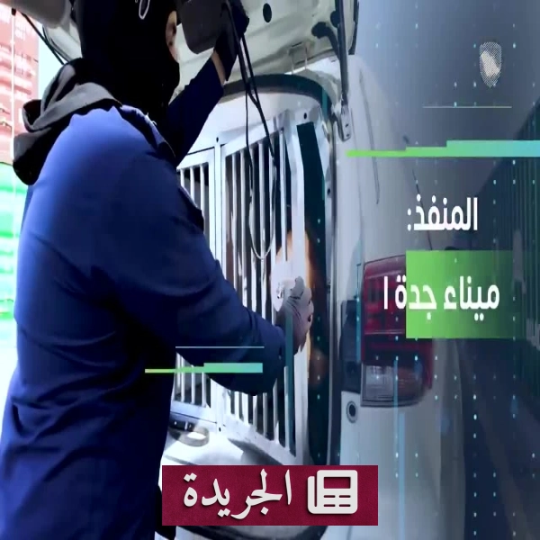 هيئة الزكاة والضريبة والجمارك تعترض أكبر شحنة كبتاجون في ميناء جدة الإسلامي - أخبار أونلاين