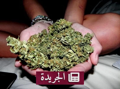 كويتي يسقط في فخ الترويج الإلكتروني للمخدرات عبر السوشيال ميديا - آخر أخبار الجريدة