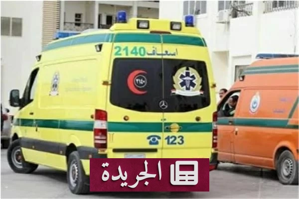 مأساة في البحيرة زوج يقتل زوجته بمطرقة إثر خلافات أسرية - آخر أخبار الجريدة