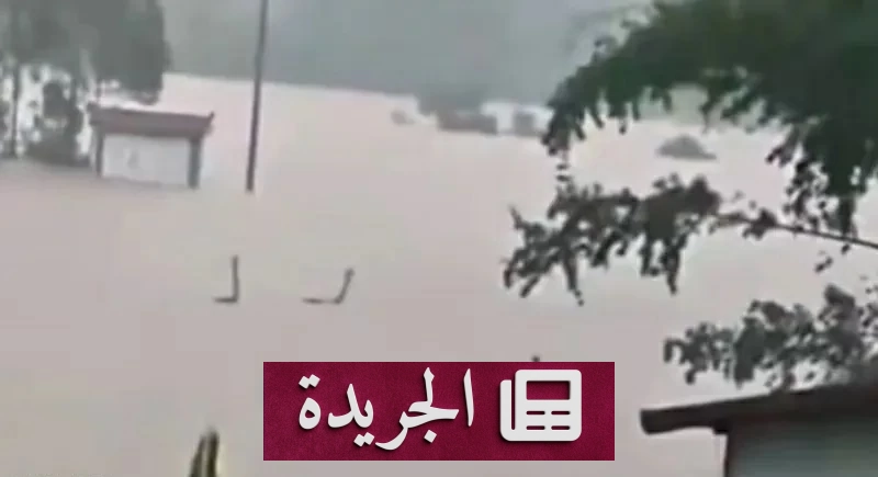 مدينة صينية تغرق تحت وطأة 900 ثعبان سام بعد فيضانات مدمرة - آخر الأخبار - الجريدة