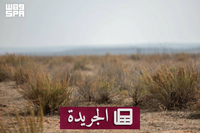 محمية الإمام تركي تحقق انخفاضاً كبيراً في العواصف الغبارية لعام 2026 - آخر أخبار الجريدة