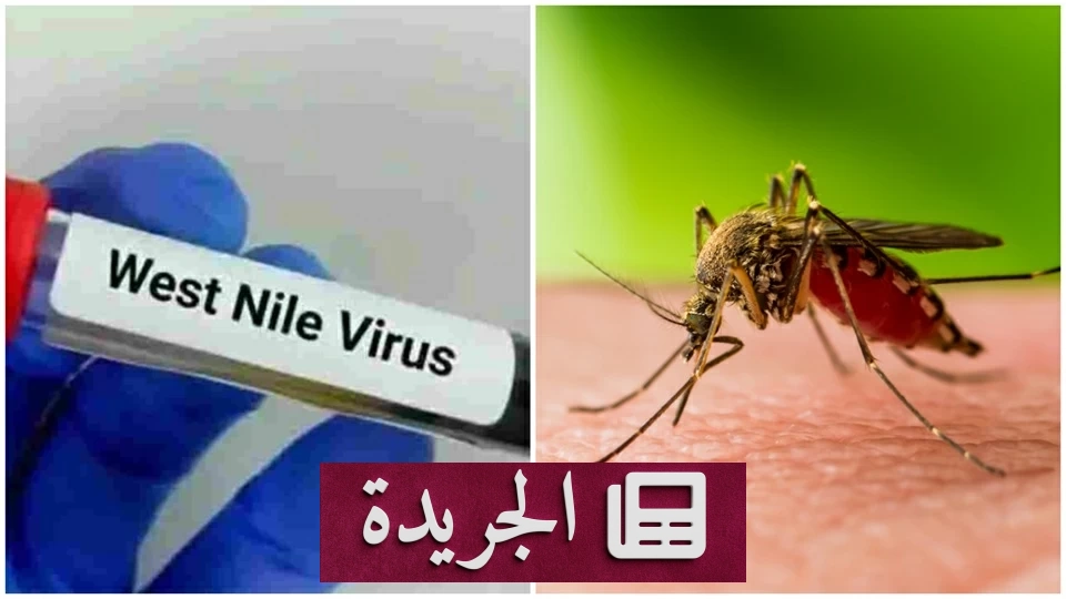 منظمة الصحة العالمية تحذر من انتشار فيروس غرب النيل في أوروبا - آخر الأخبار - الجريدة