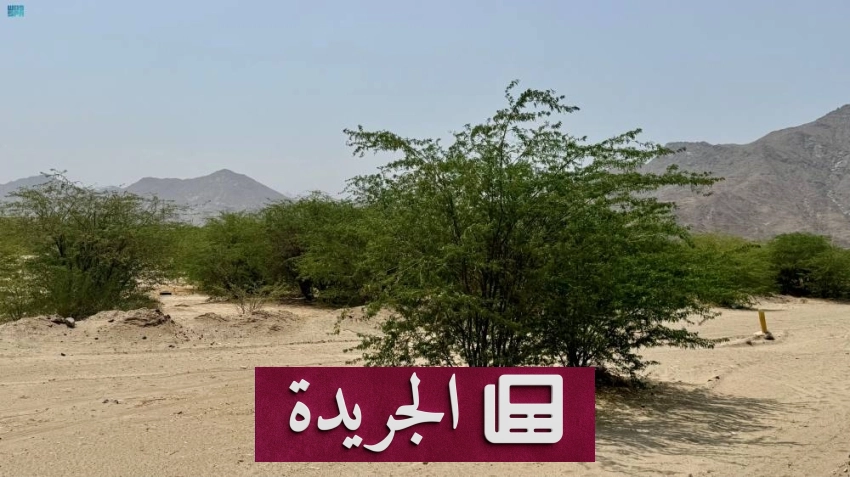 منتزهات مكة المكرمة.. جنة طبيعية amidst الجبال والأودية - آخر الأخبار - الجريدة