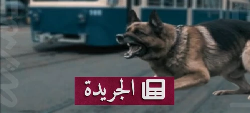 مصر: مشاجرة عنيفة بسبب معاكسة امرأة تنتهي بسقوط 11 شخصاً في قبضة الأمن - أخبار أونلاين