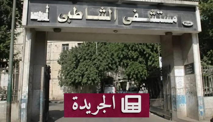 مصر تحيل طبيبة إلى المحاكمة بتهمة نشر أخبار كاذبة عن مستشفى شهير - آخر الأخبار - الجريدة