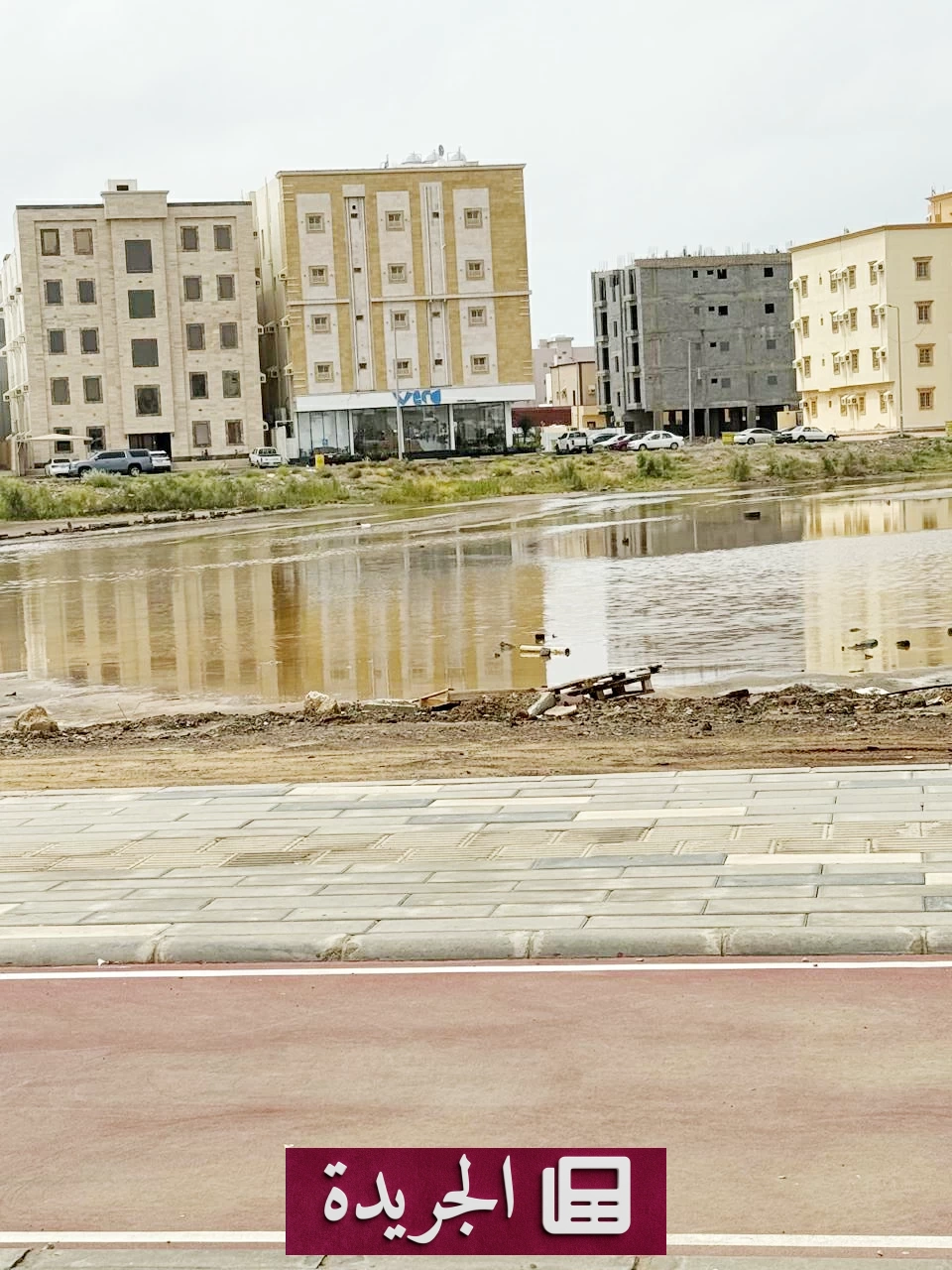 مستنقعات الأمطار تهدد جازان بحمى الضنك بسبب تكاثر البعوض - آخر الأخبار - الجريدة