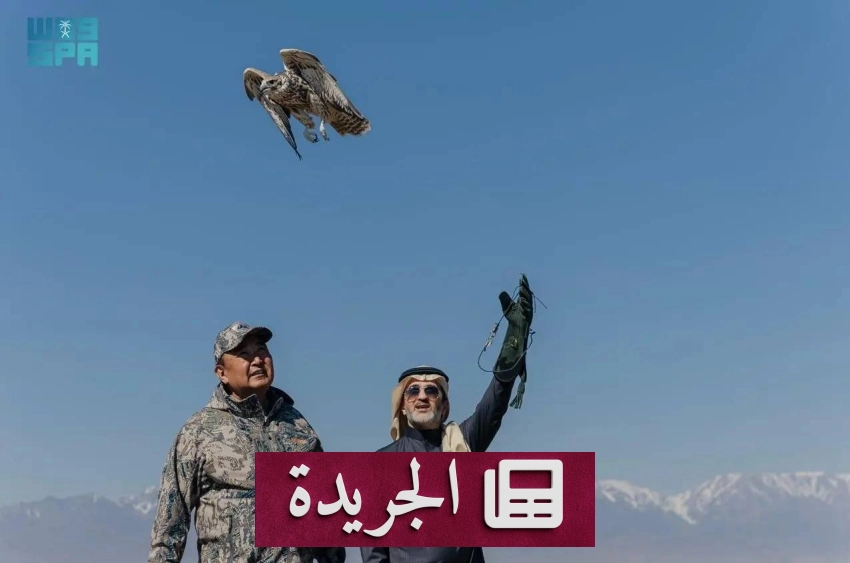 نادي الصقور السعودي يطلق صقورا من نوع الحر في كازاخستان ضمن برنامج دولي لإعادة التوطين - أخبار أونلاين