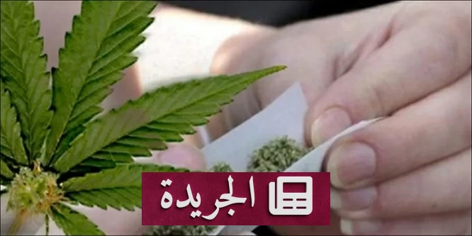 نجمة هوليوود تتحدث بصراحة عن رحلة تعافيها من إدمان الحشيش - آخر أخبار الجريدة