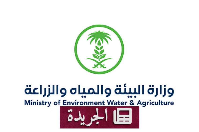 نشاطات اقتصادية وثقافية متنوعة في المملكة خلال الربع الثالث - آخر الأخبار - الجريدة
