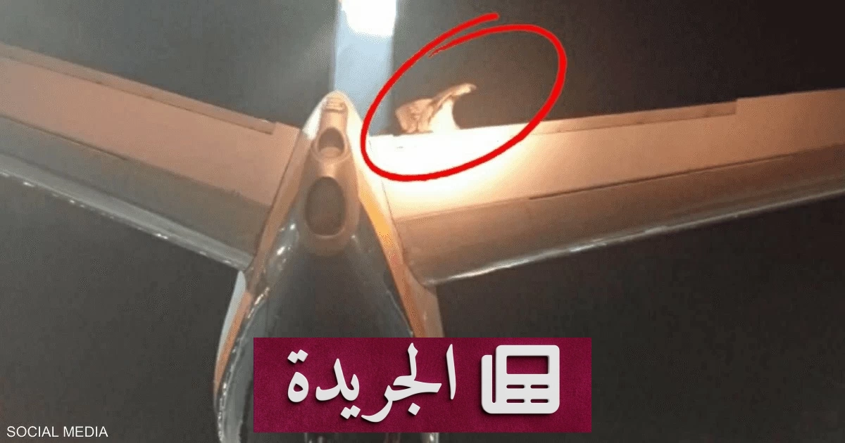 نسر عملاق يعطل رحلة طيران في كريت اليونانية لساعات - آخر أخبار الجريدة