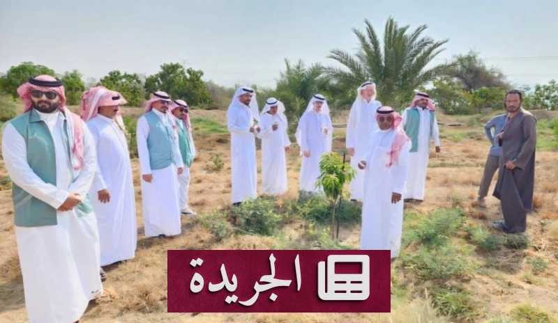صورة توضح حضور ورشة تثقيفية حول العناية بالأشجار بعد زراعتها في فصل الصيف