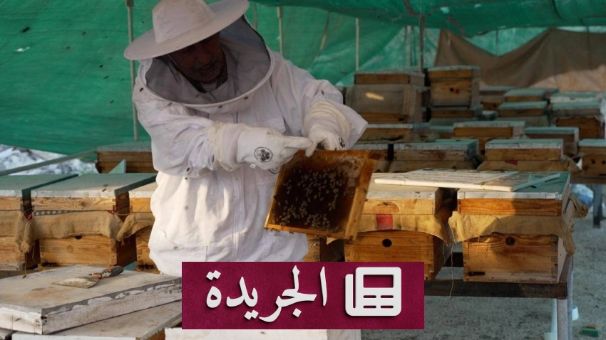 وزارة البيئة تتفقد مناحل العسل في المنطقة الشرقية - آخر أخبار الجريدة