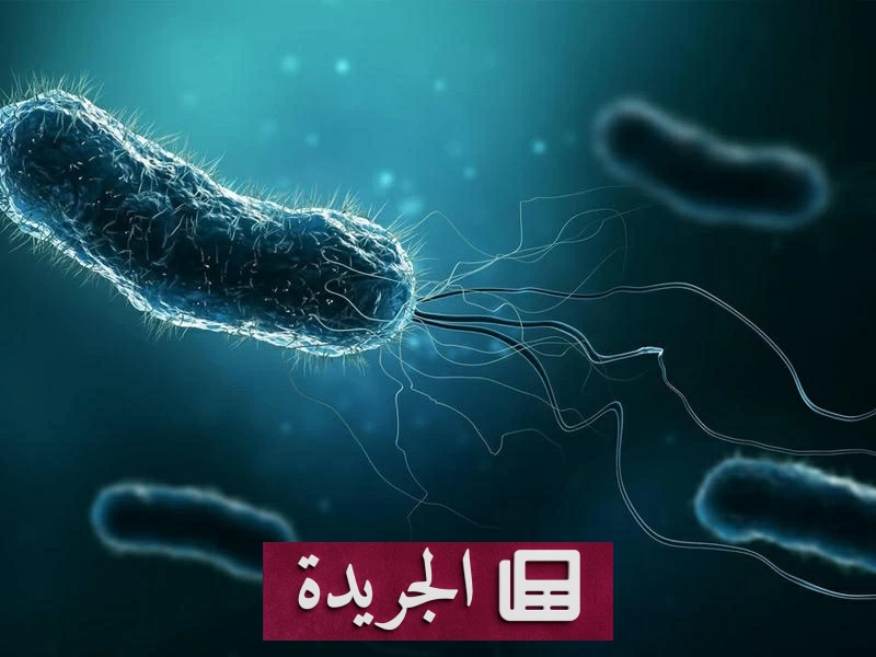 روبوتات مجهرية تشيكيّة تغزو البلاستيك الدقيق.. هل تنقذ البيئة من كابوسها؟ - آخر أخبار الجريدة