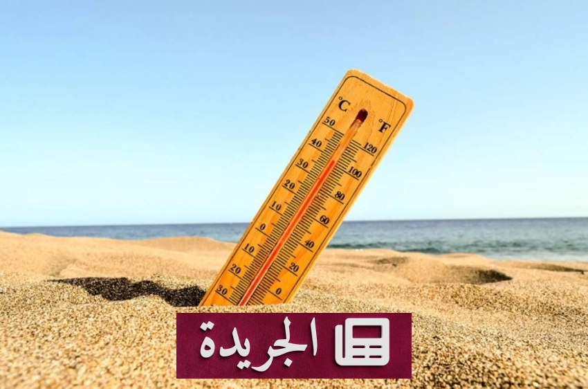 صحيفة المدينة تتصدر المشهد الإعلامي بخبراتها وتغطياتها المتميزة - آخر الأخبار - الجريدة