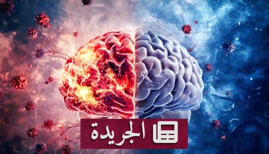 سر الاختلاف في شيخوخة الدماغ.. لماذا يحافظ البعض على ذاكرتهم رغم التقدم في العمر؟ - أخبار أونلاين