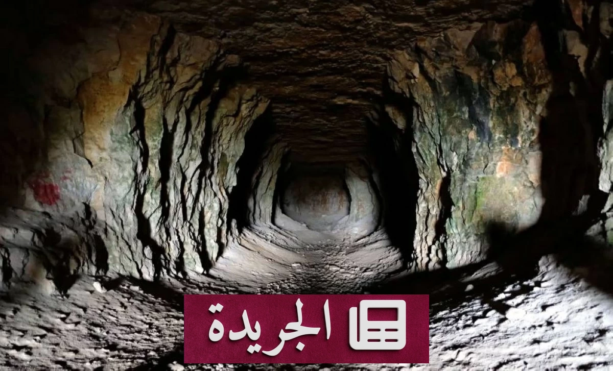 سر الحياة في ظلام كهف مغلق منذ ملايين السنين - آخر الأخبار - الجريدة
