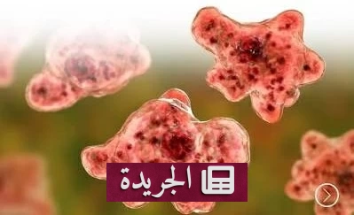 تحقيقات مستمرة لتحديد مصدر طفيلي السيكلوسبورا بعد استبعاد خس آيسبرغ - آخر الأخبار - الجريدة