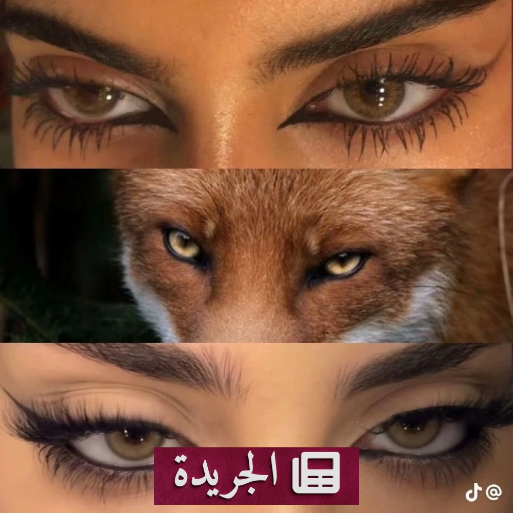 تحوّل في عالم المكياج صعود مكياج عيون الثعلب يحل محل عيون القطة - أخبار أونلاين