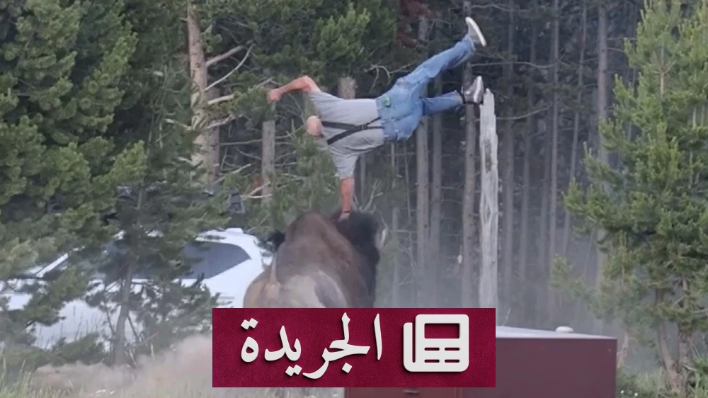 ثور بيسون يهاجم سائحاً أمام حفيده في يلوستون - آخر الأخبار - الجريدة