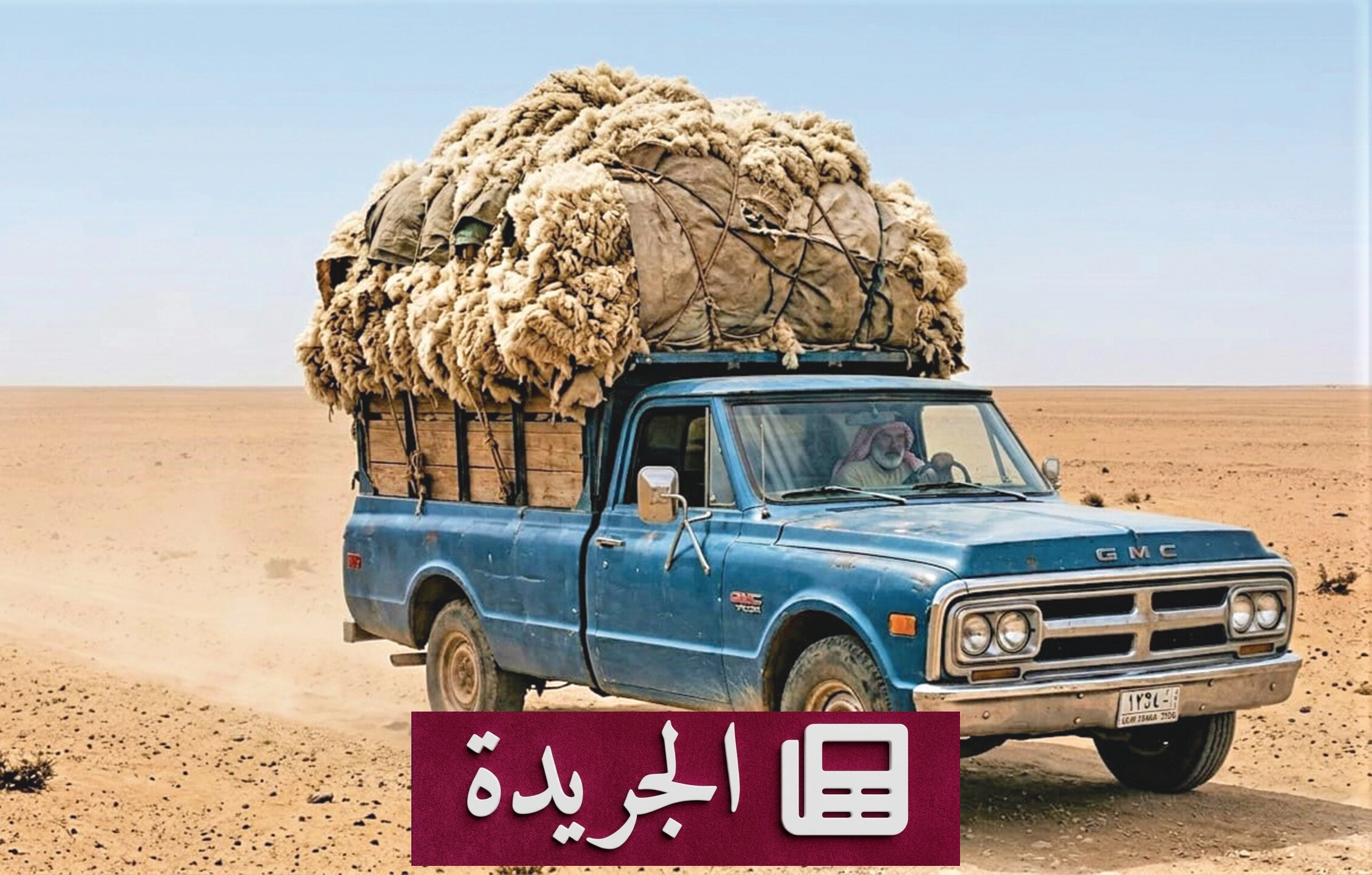 ثروة مهدرّة تهدد الاقتصاد الوطني.. كيف تحول المملكة صوف الأغنام ووبر الإبل إلى صناعة رابحة؟ - آخر أخبار الجريدة