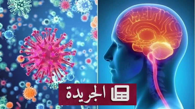 تحذير عاجل من مرض يهدد المخ.. 7 إجراءات للوقاية منه - آخر الأخبار - الجريدة