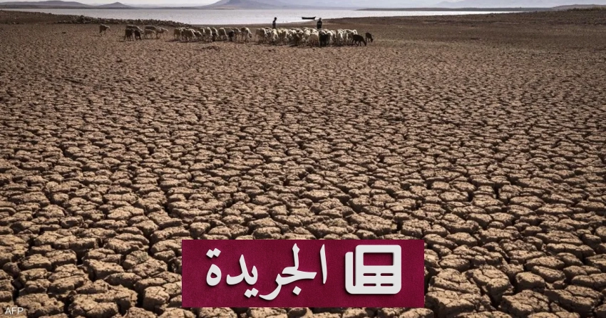 تحذير رسمي من موجة جفاف وارتفاع درجات الحرارة في أوغندا - آخر أخبار الجريدة